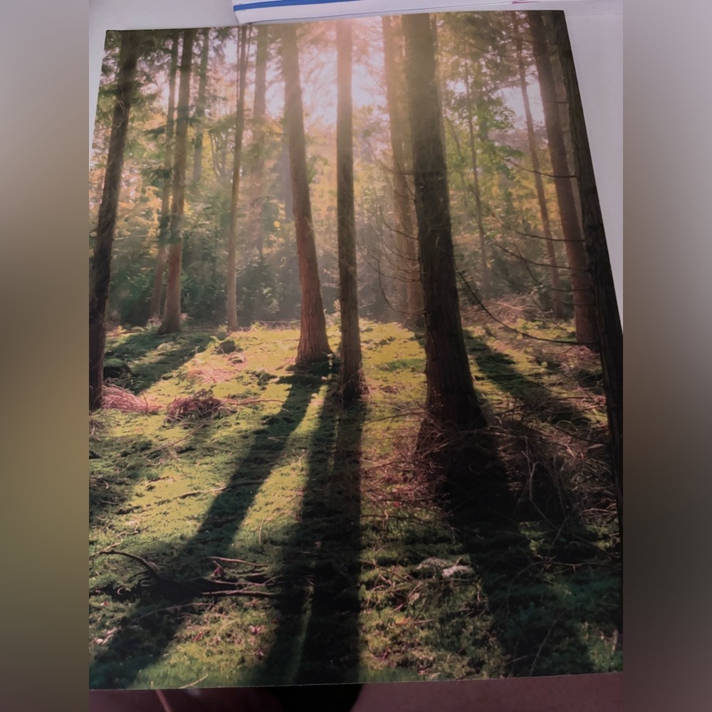 Bundle of 2 notebooks​